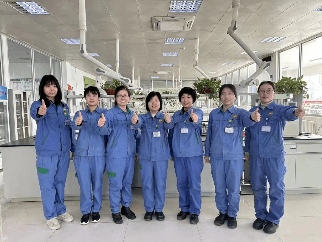 巾幗綻芳華 建功新時代丨2022年度洛陽市五一巾幗先進集體和個人優(yōu)秀事跡展播(五) 法律